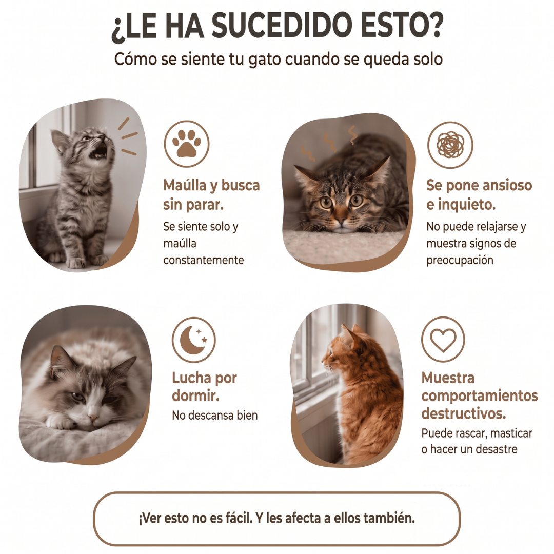 Peluche Antiestrés Para Gatos