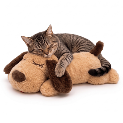 Peluche Antiestrés Para Gatos